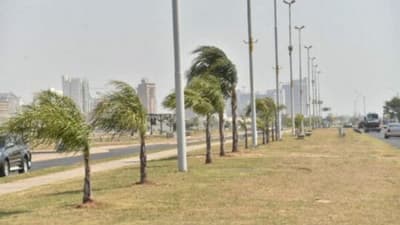 Alerta por vientos intensos y alto riesgo de incendios