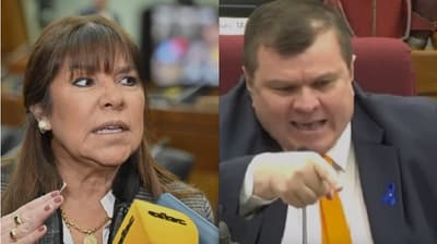 Fuerte cruce en el Senado entre Dionisio y Celeste Amarilla