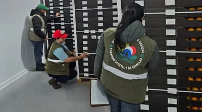 Allanamiento en Senave por coimas: Fiscalía busca responsables