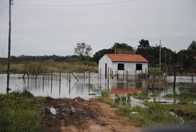Familias damnificadas por crecidas ruegan asistencia