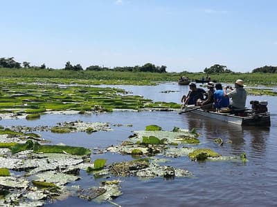 Seam denuncia ante la Fiscalía la depredación del “Yakare Yrupẽ”