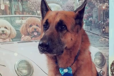 Familia busca a Gordon tras ser llevado en un auto en Luque