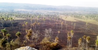 Infona prohíbe el uso de fuego en todo el país por incendios