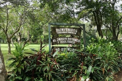 "Megaviaducto en zona del Botánico generará graves perjuicios"