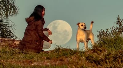 Última luna llena de otoño se observa esta noche