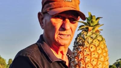 Dulces piñas de Obligado: el orgullo de Armin Purmann