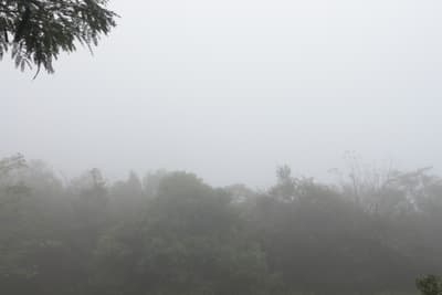 Anuncian fin de semana fresco