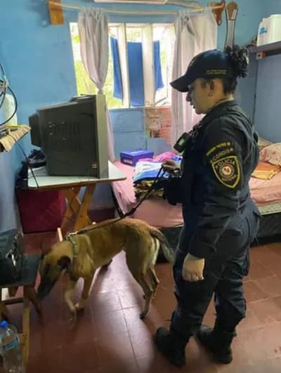 Según el director de la Agrupación Especializada, el vídeo de 'presos VIP' es 'antiguo'