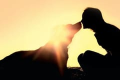 Día de las Mascotas Muertas: cómo recordar a quienes ya partieron