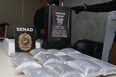 SENAD incauta marihuana premium oculta en juguetes y un cargador