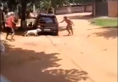 En Capiatá, un pitbull enfrentó a adictos armados ante la ausencia policial