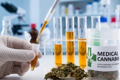 Cannabis medicinal se utiliza para tratar doce diagnósticos en Paraguay