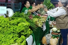 Ferias de agricultura familiar llegan a cuatro ciudades
