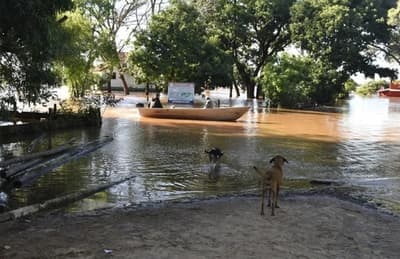 Ayolas en emergencia: impacto climático afecta a 693 familias