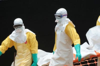 Virus Shamonda: reportan primera muerte humana en Francia
