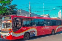 Transportistas advierten que el biodiésel podría derivar en un aumento del pasaje