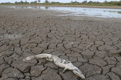 Peña crea comisión nacional contra desertificación y sequía