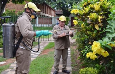 Instan a eliminar criaderos de dengue