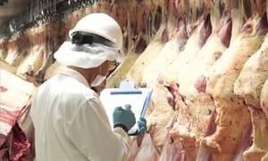 Paraguay lidera crecimiento en exportación de carne del Mercosur