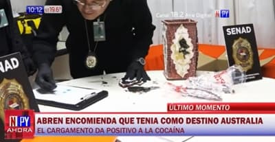 Incautan cocaína en el interior de florero en el Aeropuerto Silvio Pettirossi