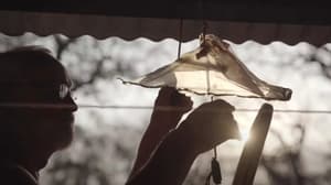 Ciclo de Cine Paraguayo del CCPA celebra su décima edición