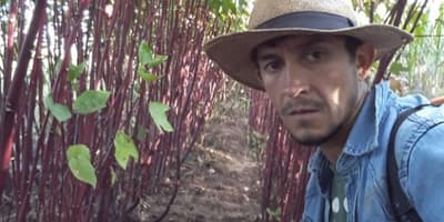 Catalino Mancuello: Fue a Argentina para un futuro mejor, pero regresó a sus raíces en Caaguazú