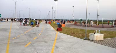 Abandono en la Costanera Sur: malezas, baños dañados y animales sueltos