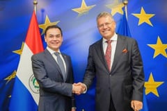 Canciller busca frenar en Bruselas un veto a la carne paraguaya