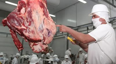 Carne paraguaya gana valor pese a menor volumen