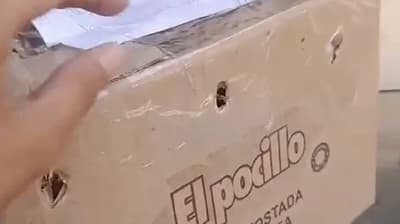 ¡Monita muere asfixiada en encomienda! Mades interviene y busca responsables