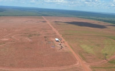 Alta pena por deforestación se extiende por dos años más
