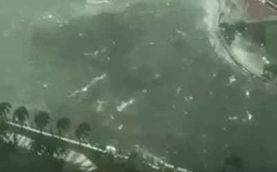 Compatriotas se encuentran bien en Florida