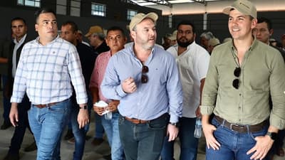 Peña se reúne con director de empresa denunciada por deforestación