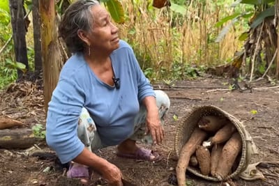 Pareja dejó la ciudad y lleva 30 años viviendo de la tierra