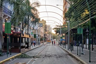 Día del Niño: calle Palma tendrá más de 50 actividades