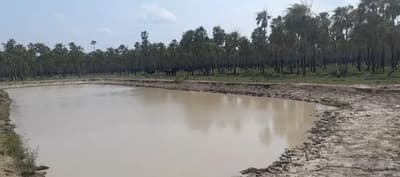Lluvias en el Chaco: Un oasis de esperanza en medio de la sequía